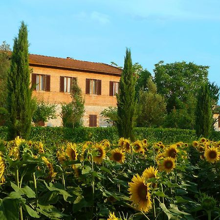 Agriturismo Santa Giuditta Sovicille Exteriör bild