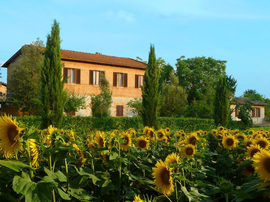 Agriturismo Santa Giuditta Sovicille Exteriör bild